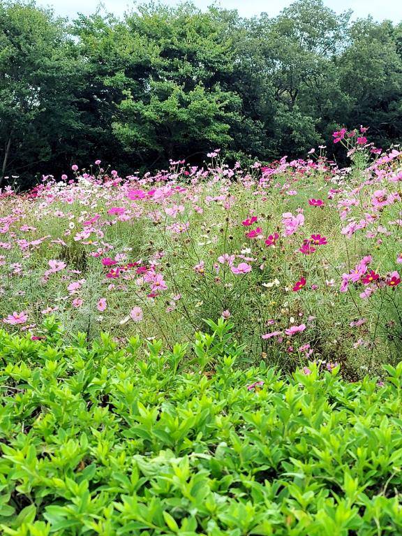 みなも 超絶美女降臨☆天女をその手に抱けます