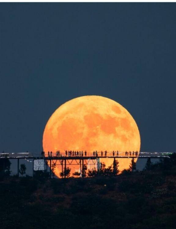 さいか　完全未経験の人妻☆素人の本気Hに驚愕