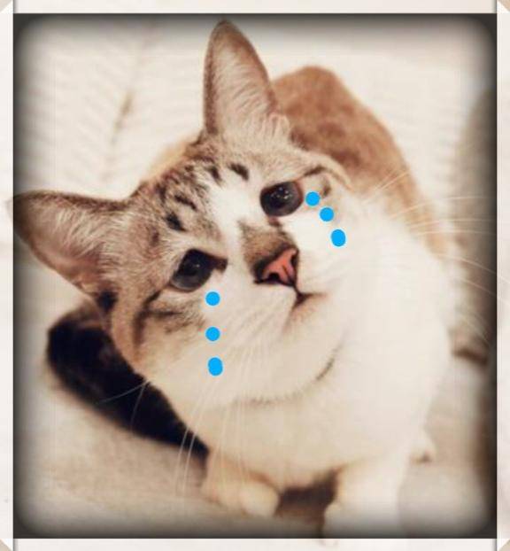 えりこ　もう一度女として…美しき淑女