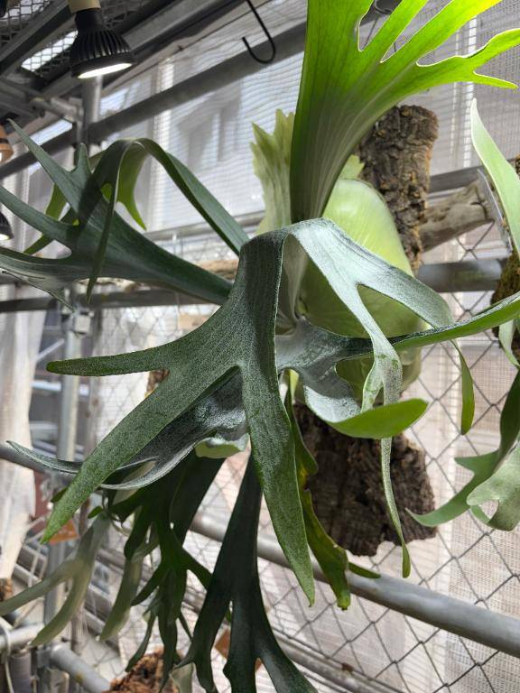 そら　全身性感帯！おマ〇コ常に濡れちゃってます芸人ならぬド淫乱美人♡