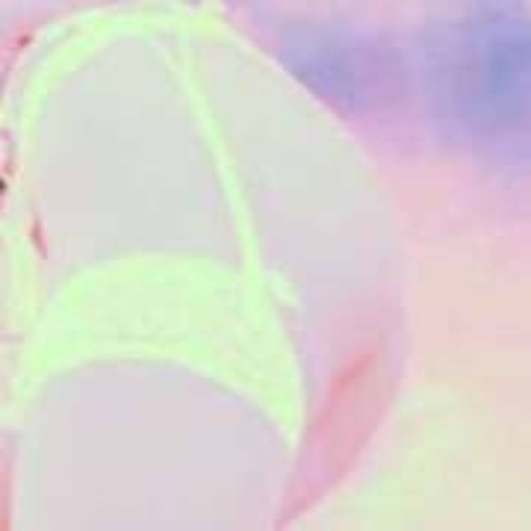 ?1111?のゾロ目の日