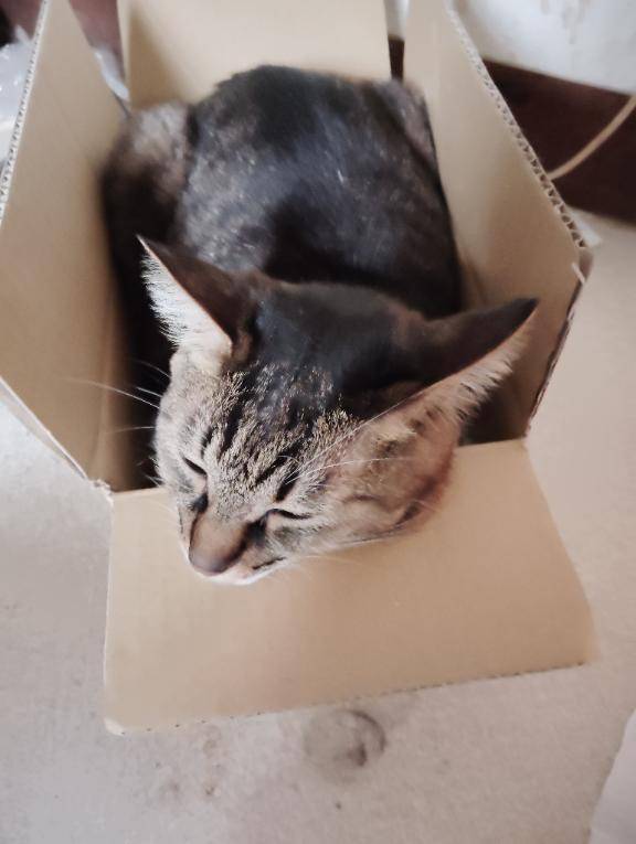 とわ　超敏感！悶えるFカップ美巨乳