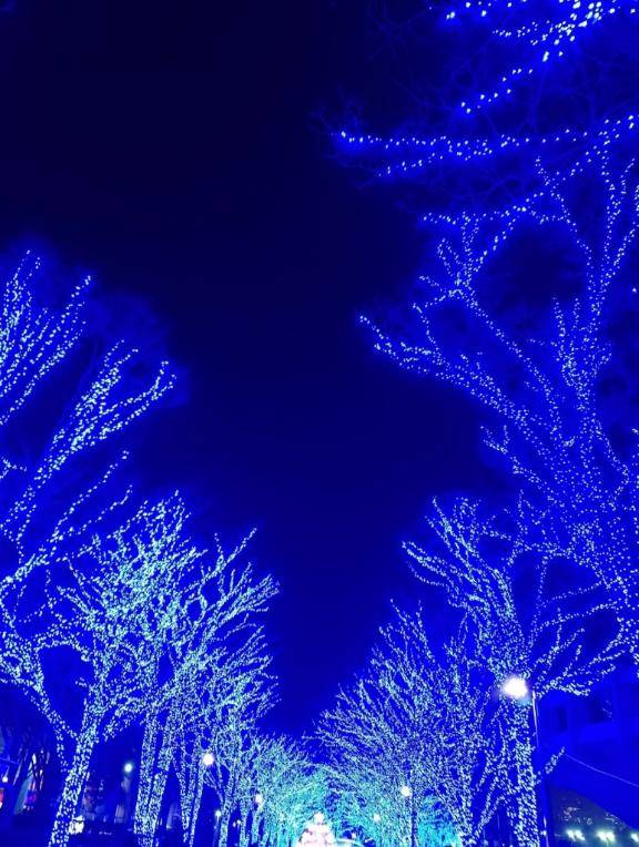 こはく 高嶺の花の乱れ姿☆溢れでるドMの香り