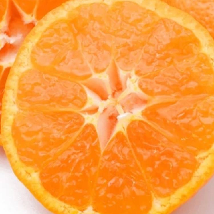 あすか 超絶倫★美人奥様の変態遊戯！