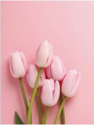 体験ここあ　妖艶に噴き上げる潮嵐G