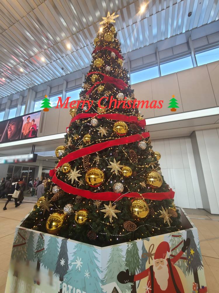 ゆみ　愛くるしい美人妻☆心に残る秘密の情事