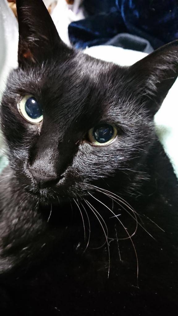 しおり　超潮吹きドMの神様！