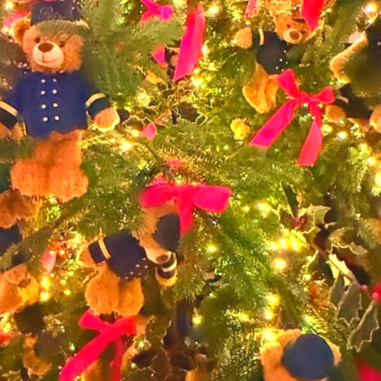 あすか 超絶倫★美人奥様の変態遊戯！