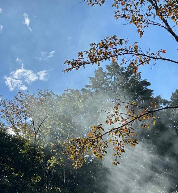 さおり　近所の美人妻と淫らな秘め事