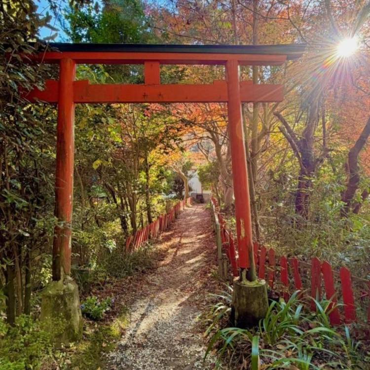 あすか 超絶倫★美人奥様の変態遊戯！