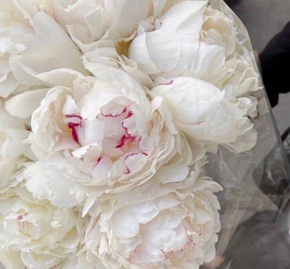 さおり　近所の美人妻と淫らな秘め事