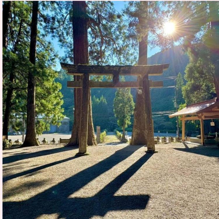 あすか 超絶倫★美人奥様の変態遊戯！