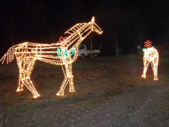 りょうこ　美熟女とはまり込むエロの無限ループ∞