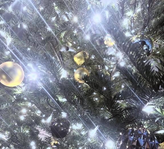 さおり　近所の美人妻と淫らな秘め事