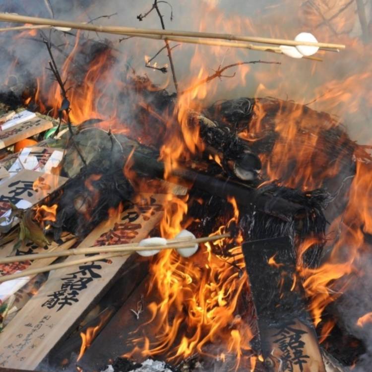 あすか 超絶倫★美人奥様の変態遊戯！