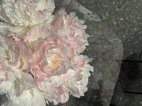 さおり　近所の美人妻と淫らな秘め事