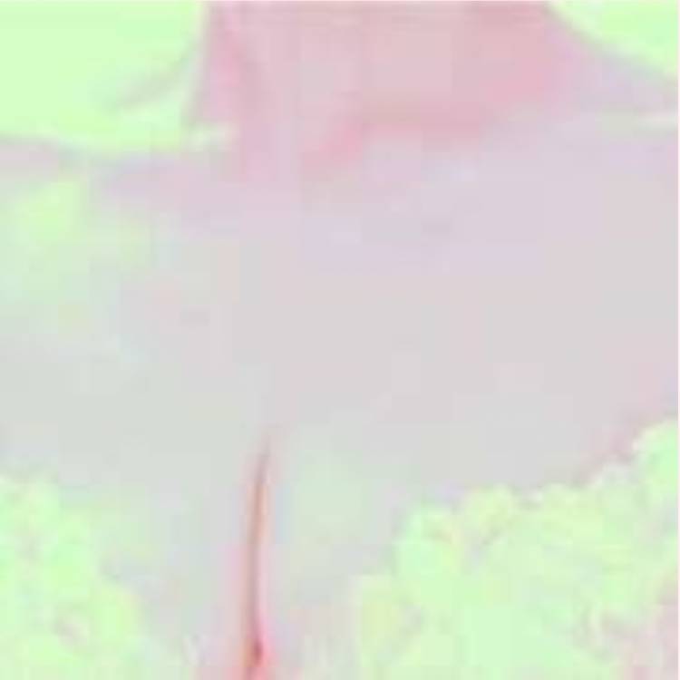 あすか 超絶倫★美人奥様の変態遊戯！