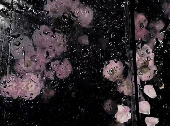 さおり　近所の美人妻と淫らな秘め事