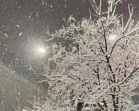 さおり　近所の美人妻と淫らな秘め事