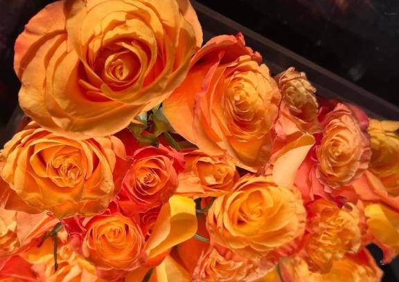 さおり　近所の美人妻と淫らな秘め事