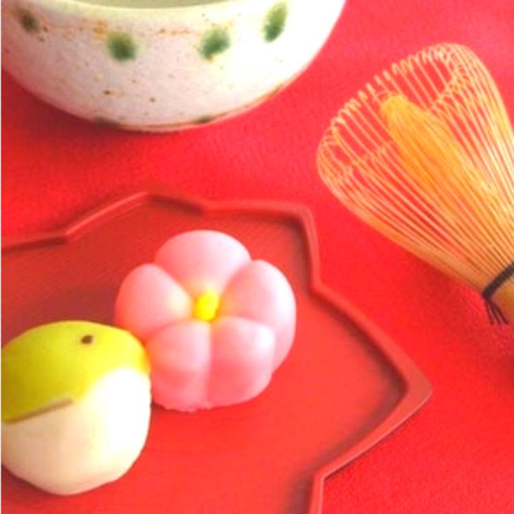 あすか 超絶倫★美人奥様の変態遊戯！