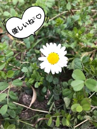 まさき　エロくて綺麗で大興奮♪☆癒しとエロスの協奏曲