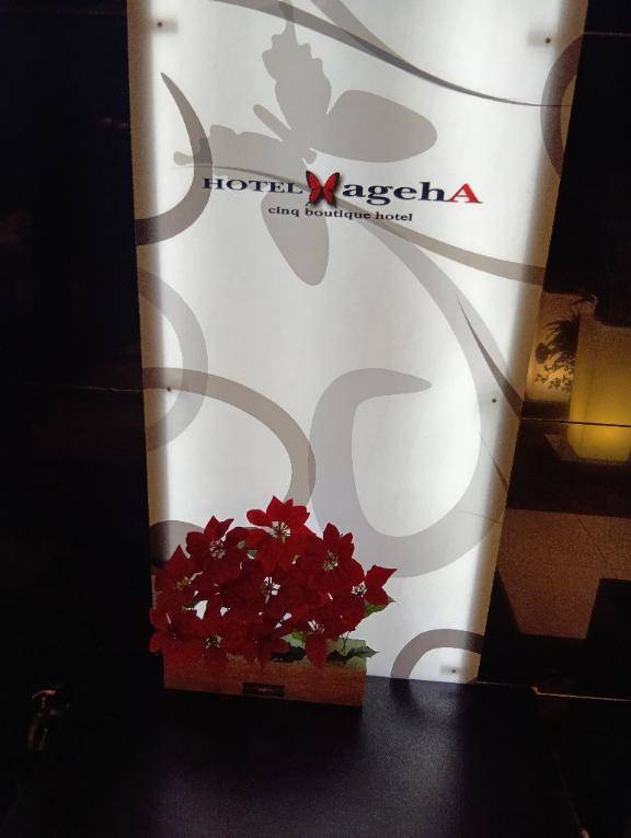 ゆうか　淫乱に目覚めた濃厚エロエロプレイ