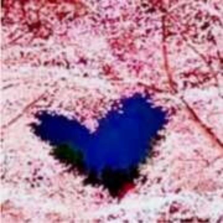 あすか 超絶倫★美人奥様の変態遊戯！