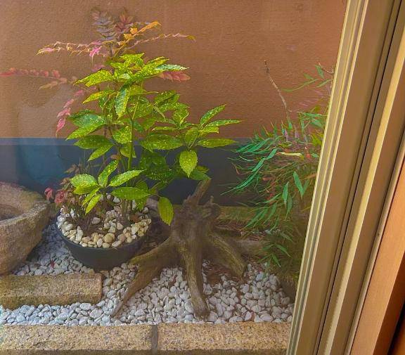 さおり　近所の美人妻と淫らな秘め事