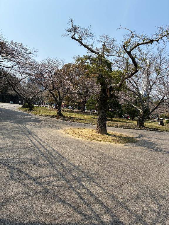 ゆみか　人妻なの欲求不満が止まらない☆求めてもいいですか…