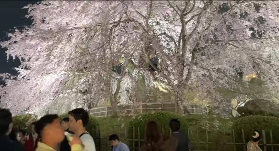 せな　妖艶Ｈカップ敏感爆乳☆可愛い人妻の恥ずかしい性欲