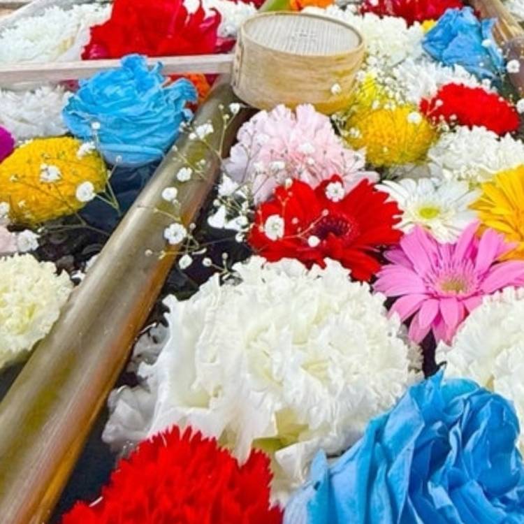 あすか 超絶倫★美人奥様の変態遊戯！