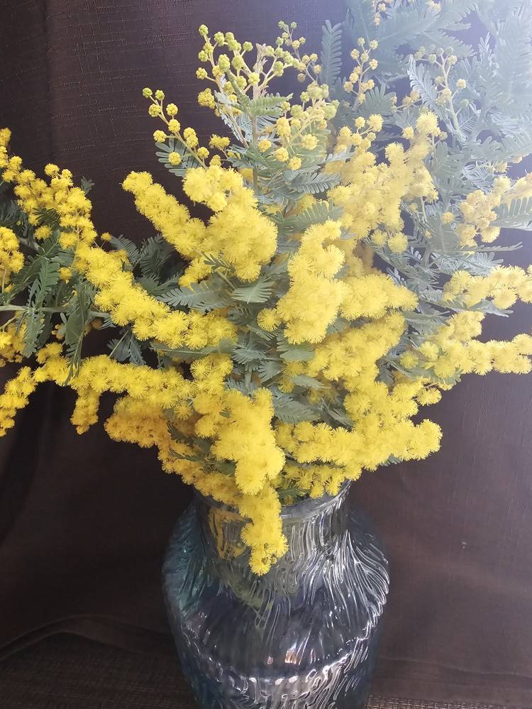 りか　五感すべてが欲する☆甘き香りの美人妻