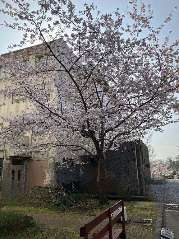 りりこ　Fカップ巨乳☆男を虜にする至高のスタイル！