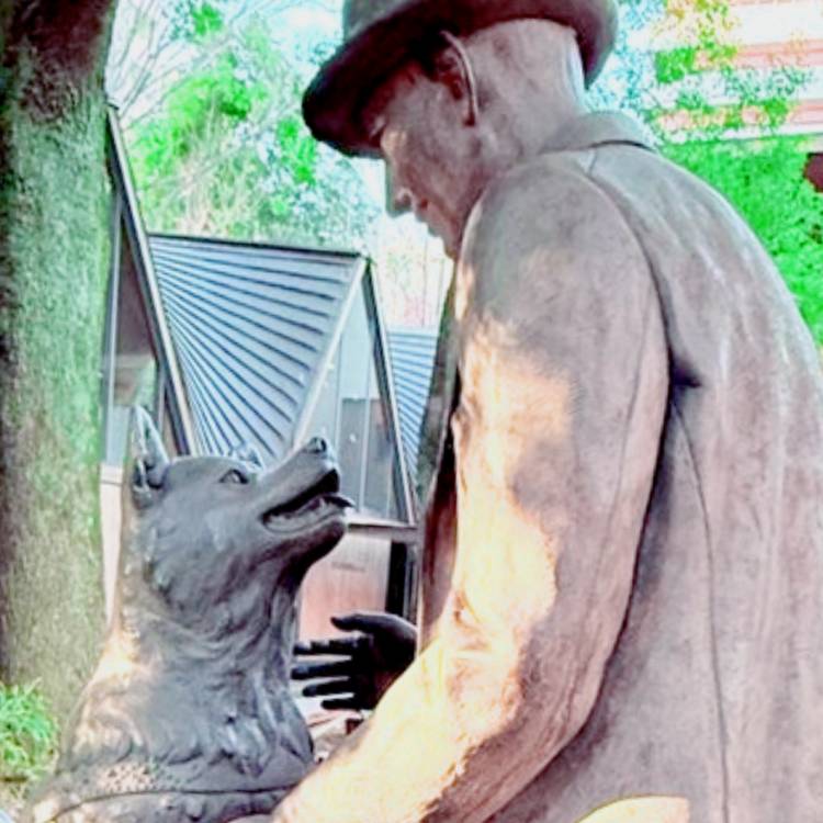 あすか 超絶倫★美人奥様の変態遊戯！