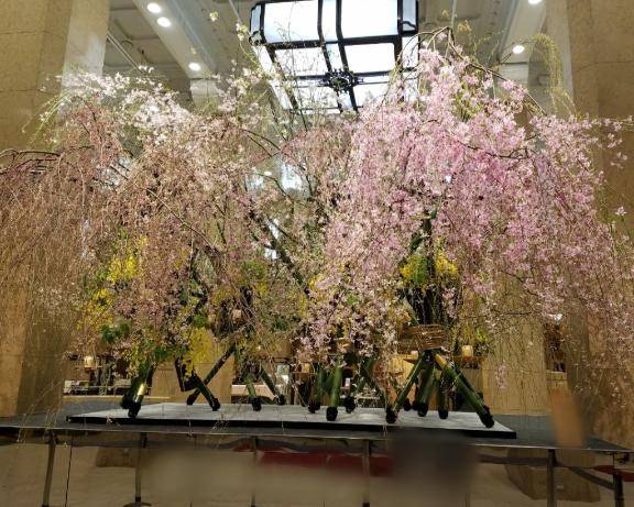 こはく 高嶺の花の乱れ姿☆溢れでるドMの香り