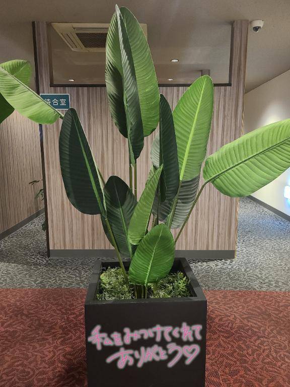 ゆみ　愛くるしい美人妻☆心に残る秘密の情事