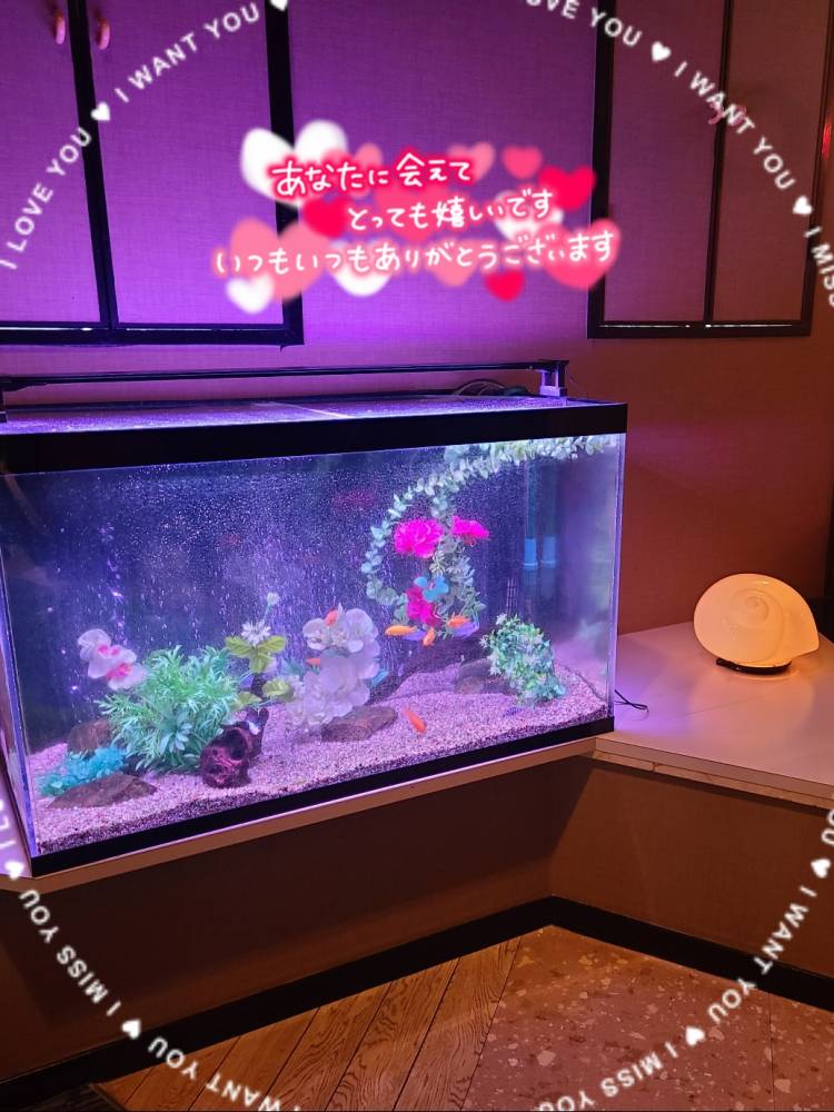 ゆみ　愛くるしい美人妻☆心に残る秘密の情事