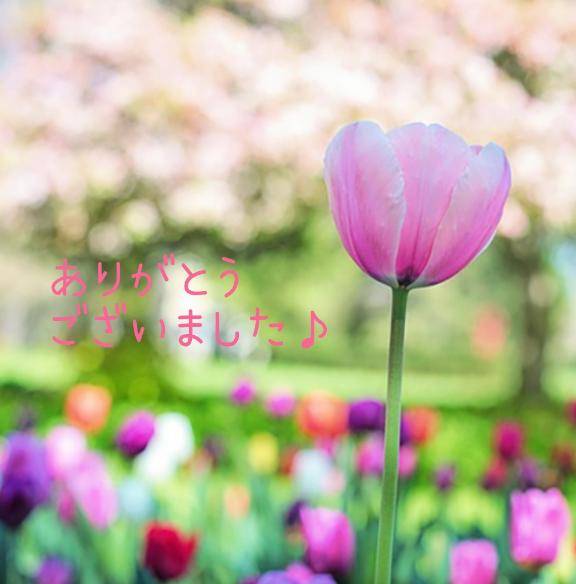 みなも 超絶美女降臨☆天女をその手に抱けます