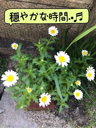 まさき　エロくて綺麗で大興奮♪☆癒しとエロスの協奏曲