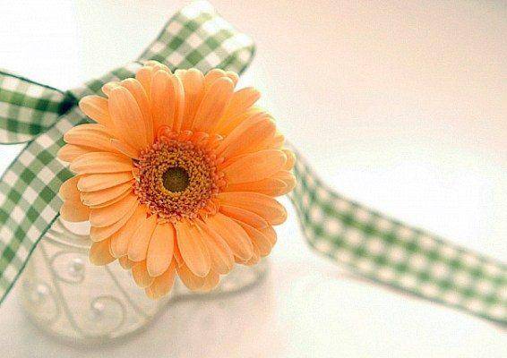 がんばりやさんへ☆