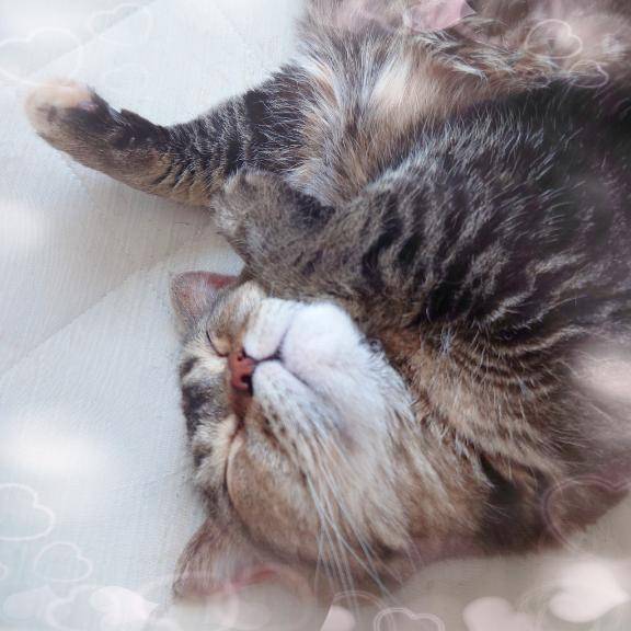 おでかけ中☆