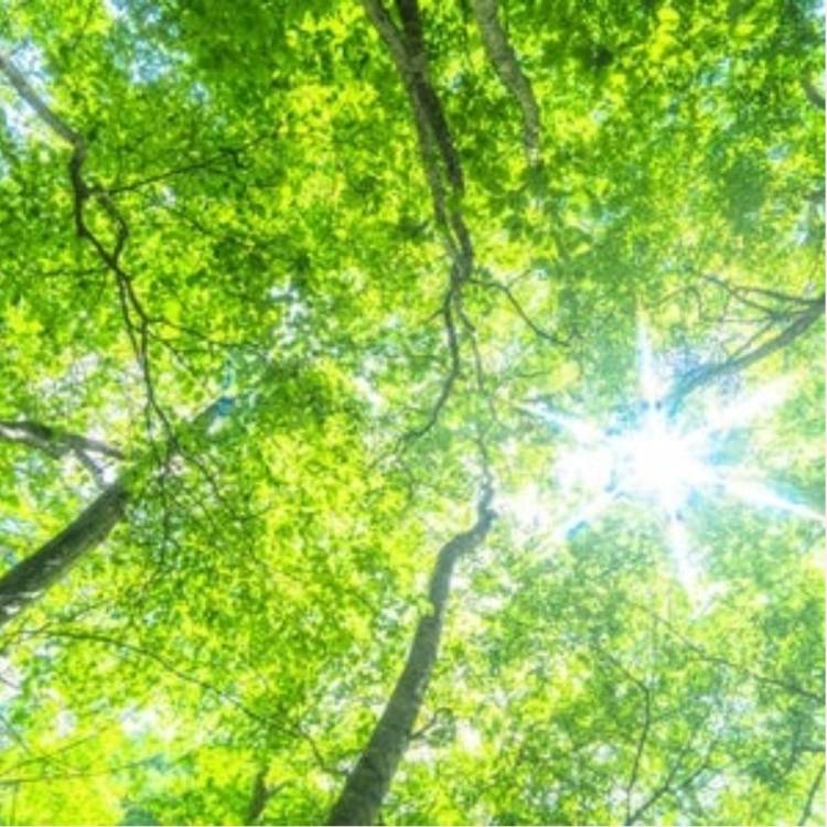 あすか 超絶倫★美人奥様の変態遊戯！
