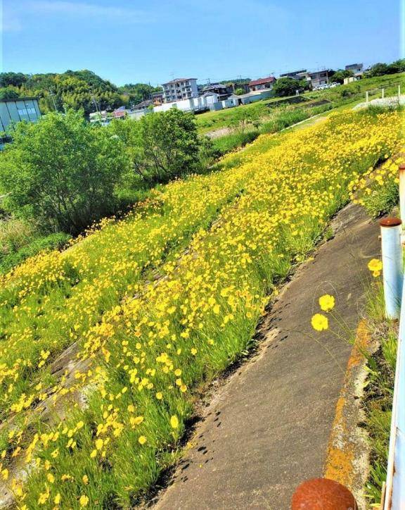 切ない…
