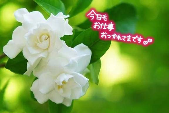 ともみ　甘えん坊な熟妻はご奉仕大好き♡