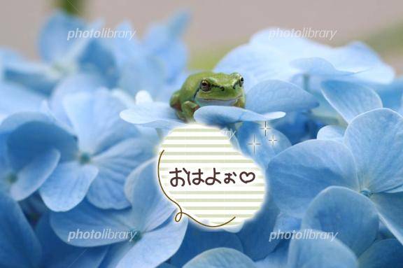 ともみ　甘えん坊な熟妻はご奉仕大好き♡