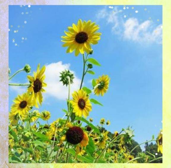 昨日も、ありがとうございました♪