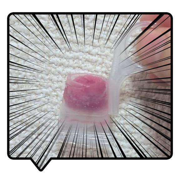 ひなた　Ｇカップの温もり、淫乱の園へ