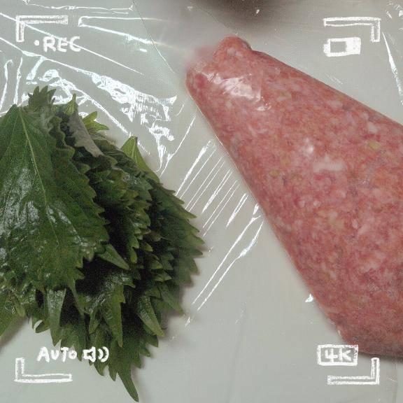 ひなた　Ｇカップの温もり、淫乱の園へ