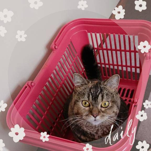 ひなた　Ｇカップの温もり、淫乱の園へ